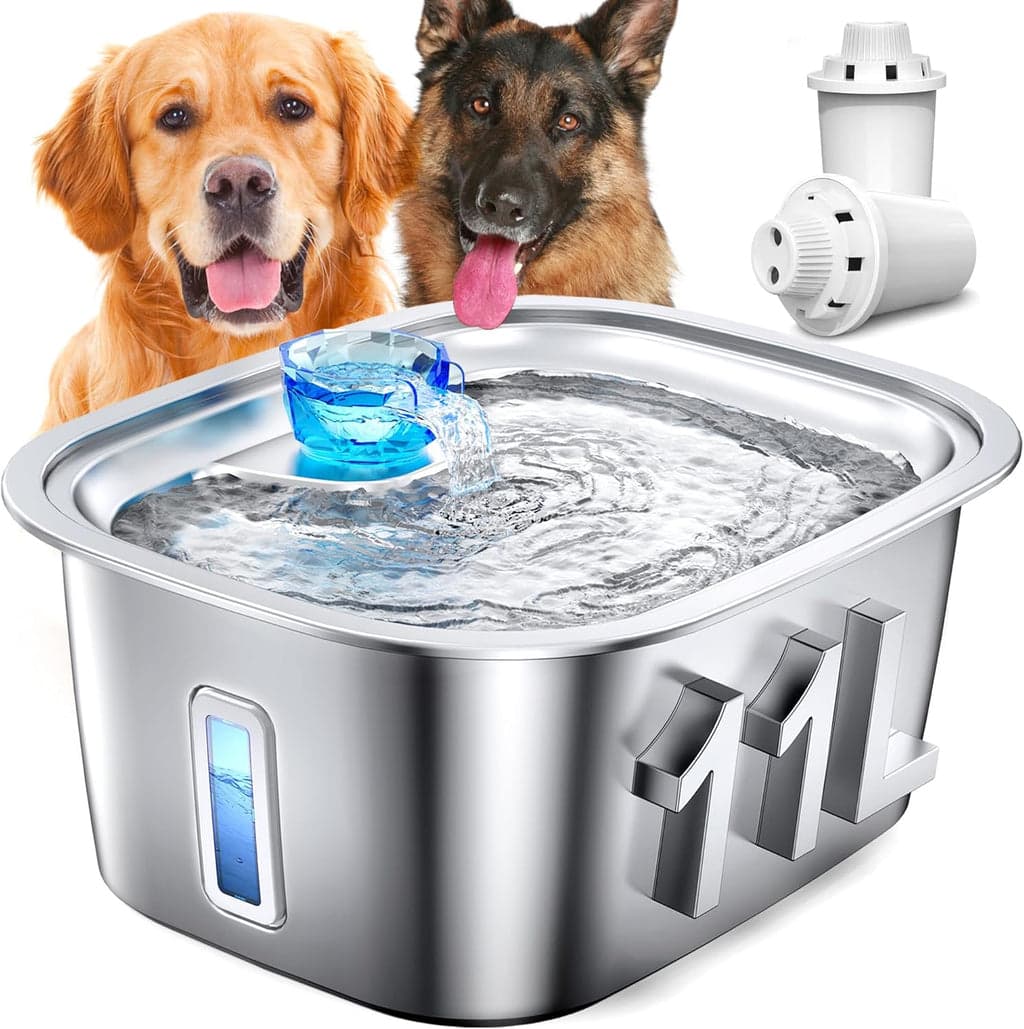 Fontaine à eau 3 L avec filtre