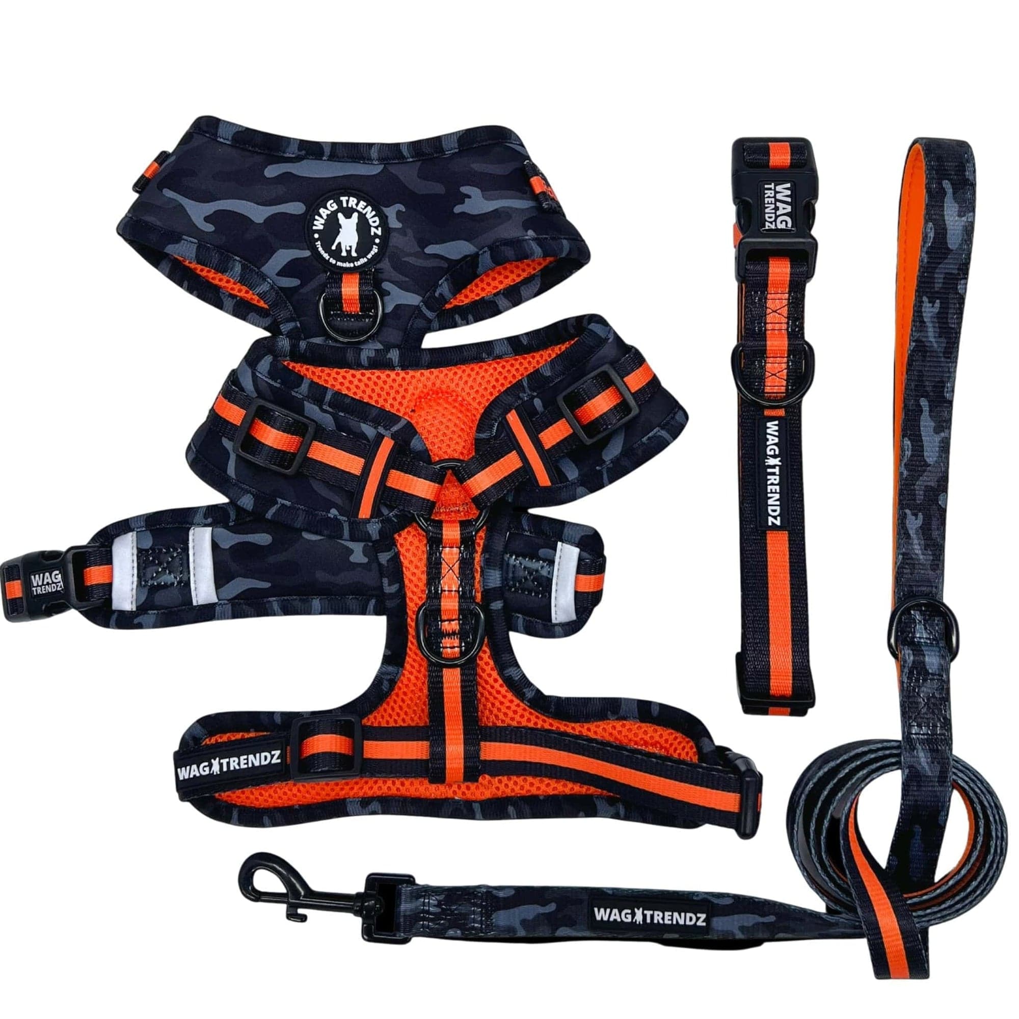 Laisse enrouleur 5 m illuminée LED